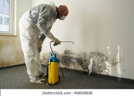 Why You Should Choose Our Mold Remediation Services in Steep Falls, ME